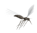 AnimatedMosquito